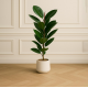 Artificial Plant